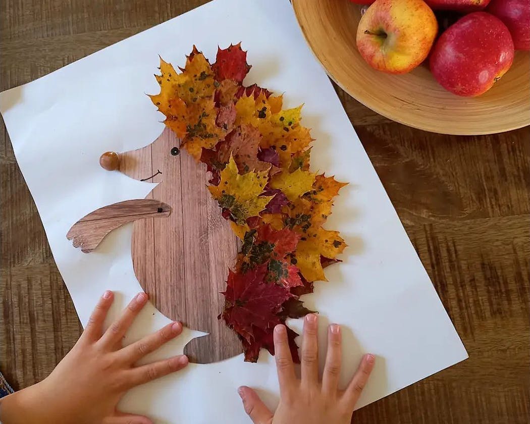 Comment dessiner une feuille d arbre automne facilement 