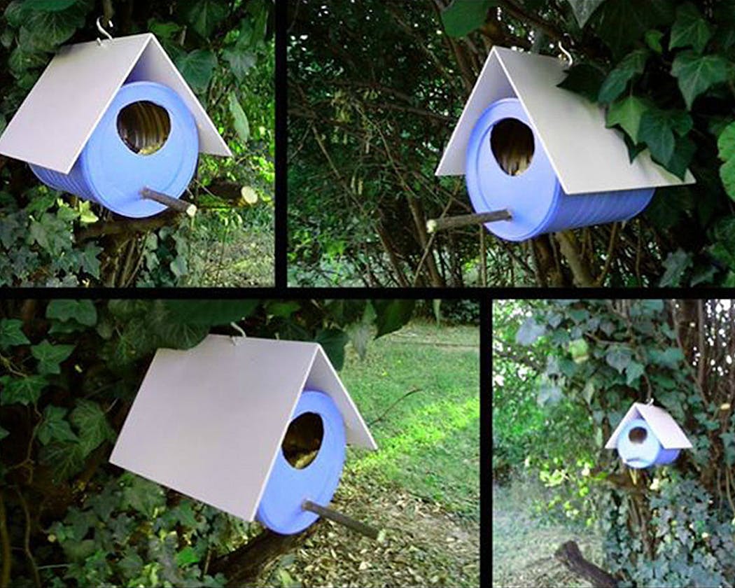 Bricolage : fabriquez une cabane à oiseaux avec les enfants - Citizenkid