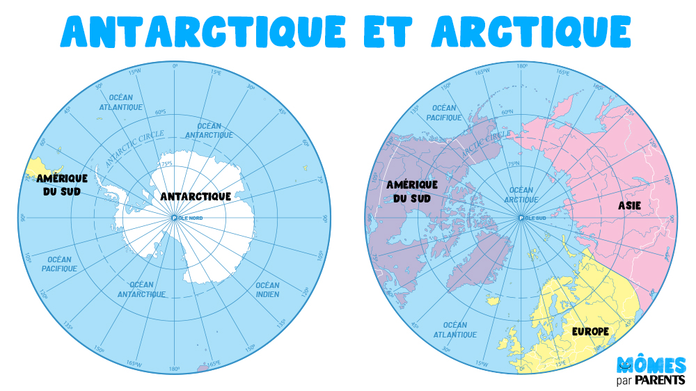 De L'Arctique à L'Antarctique : Découvrez Les Différences Entre Les ...