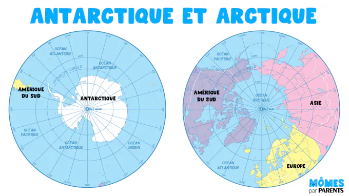 De l'Arctique à l'Antarctique : découvrez les différences entre les ...