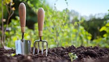 Jardinage - Les outils du potager