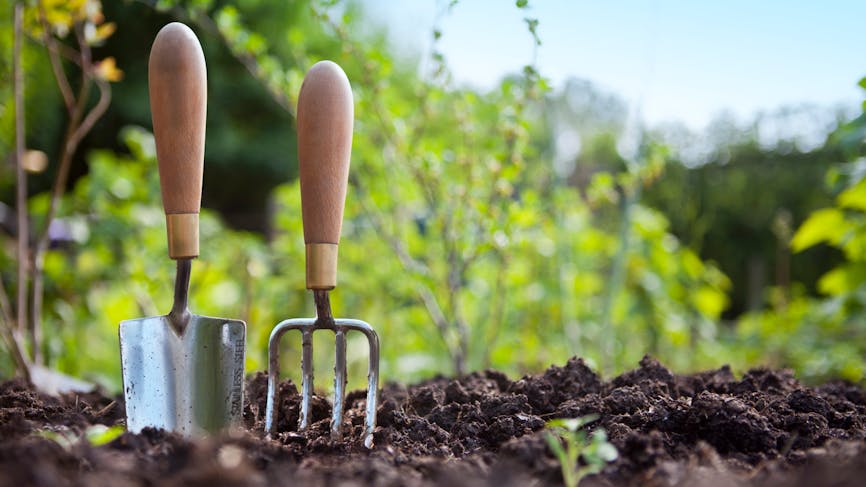 Jardinage : tous les outils du potager