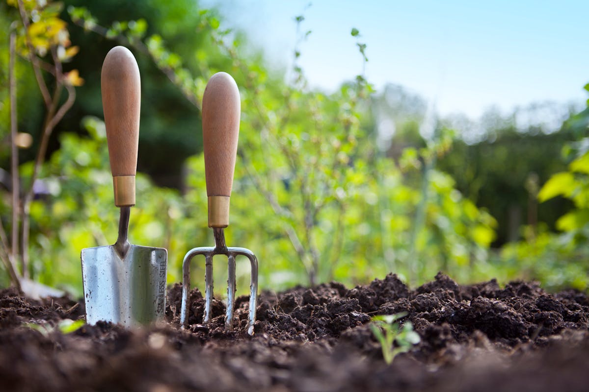 Jardinage : tous les outils du potager