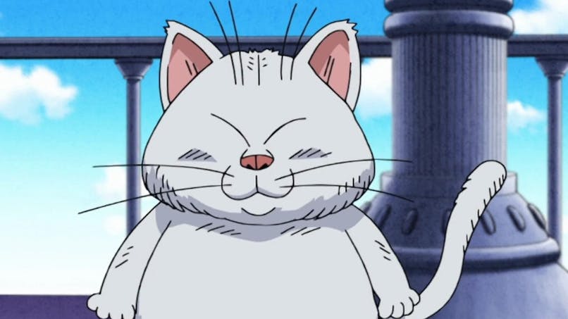 Le chat Maitre Karin dans Dragon Ball 
