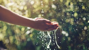 Écogestes : 7 astuces pour économiser l'eau à la maison
