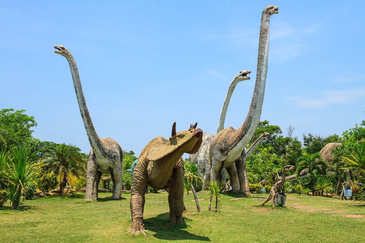 Histoire : apparition des dinosaures | MOMES