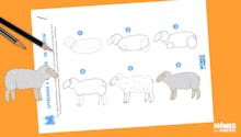 Apprendre à dessiner : un mouton