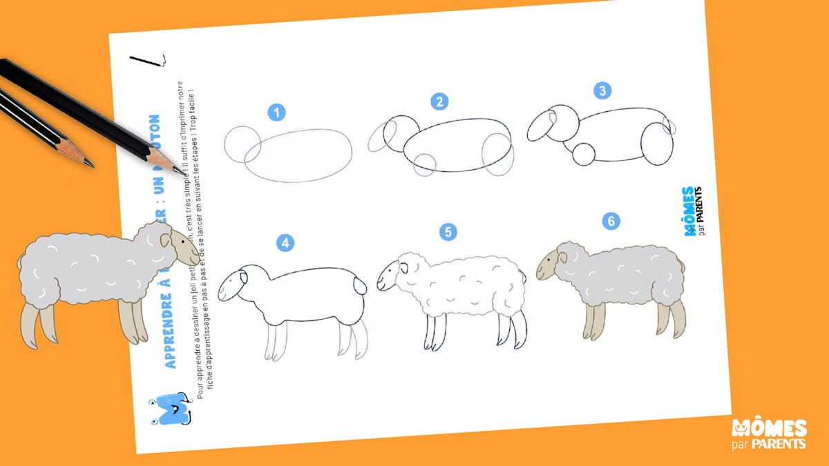 Comment Dessiner Un Mouton Facile Dessiner un mouton en pas à pas | MOMES