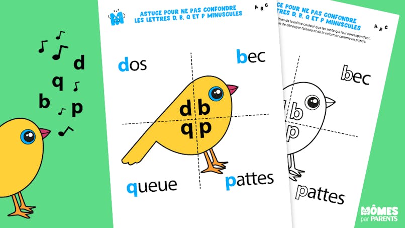 oiseau pour ne pas confondre les lettres d, b, p et q