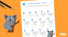 Apprendre à dessiner : un koala