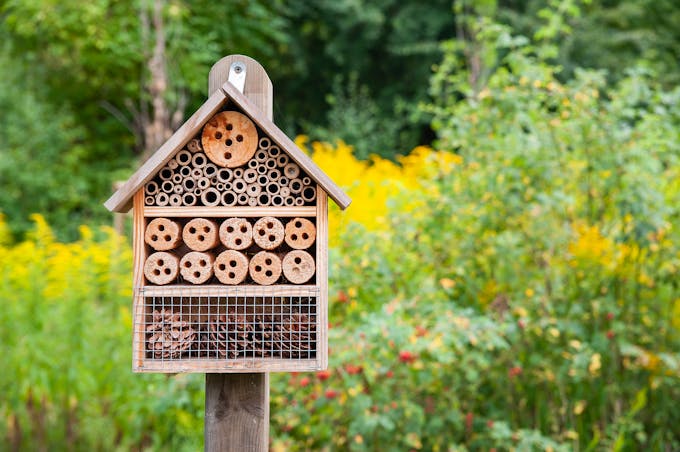 hôtel à insectes pour abeilles sauvages