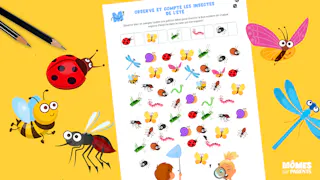 Jeu Mémory sur les insectes - Faune Sauvage Jeu Mémory sur les insectes - Faune Sauvage