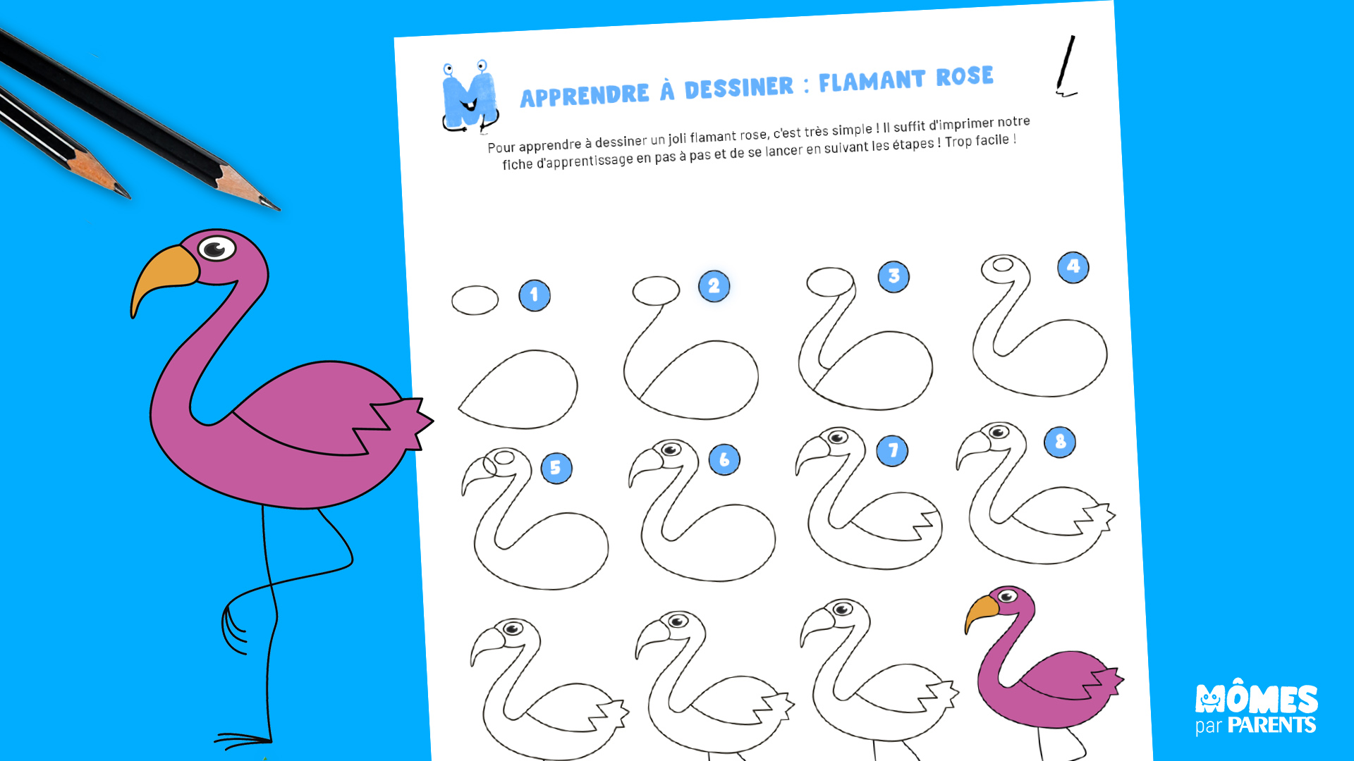 Dessiner un flamant rose étape par étape | MOMES