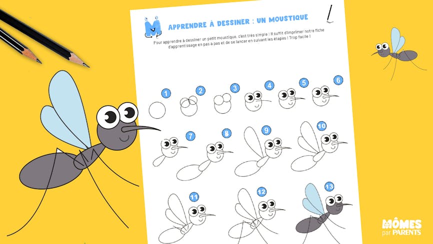 Apprendre à dessiner : un moustique