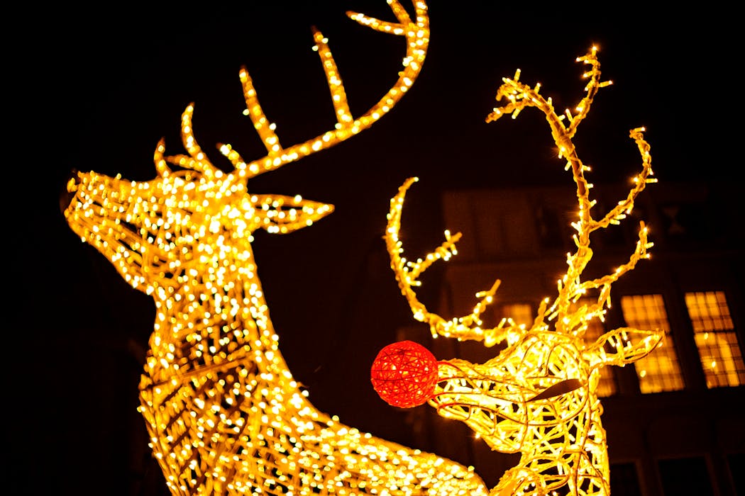 Rudolph - Renne du Père Noël