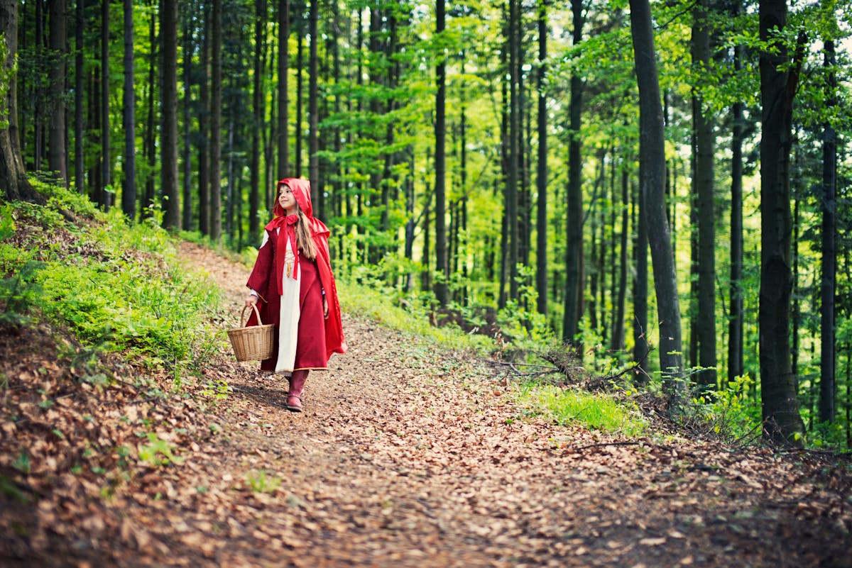 Histoire à raconter : Le Petit Chaperon rouge