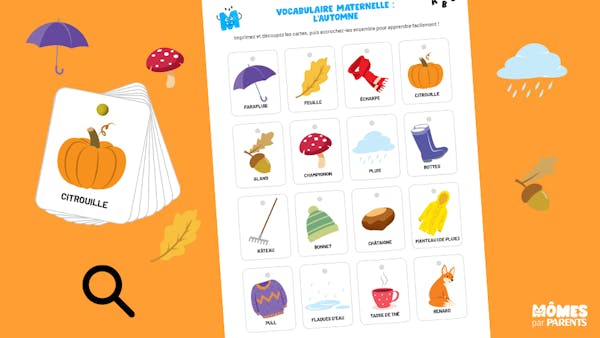 Vocabulaire maternelle : les petites cartes de l'automne