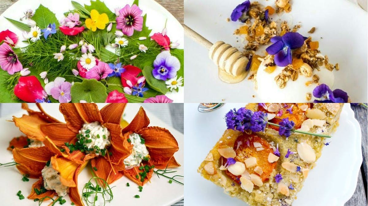 Comment cuisiner avec des fleurs?