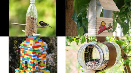 DIY : construction de maison pour oiseaux