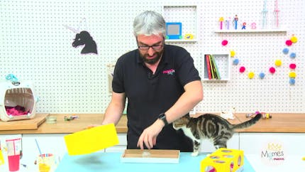 Vidéo - Replay - Mômes Part en Live - Bricolage d'une boîte pour chat