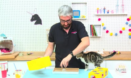 Bricolages Avec Du Carton Toutes Nos Meilleures Idees Pour Bricoler Avec Du Carton Page 2 Momes Net Bricolages Avec Du Carton Toutes Nos Meilleures Idees Pour Bricoler Avec Du Carton Page 2 Momes Net